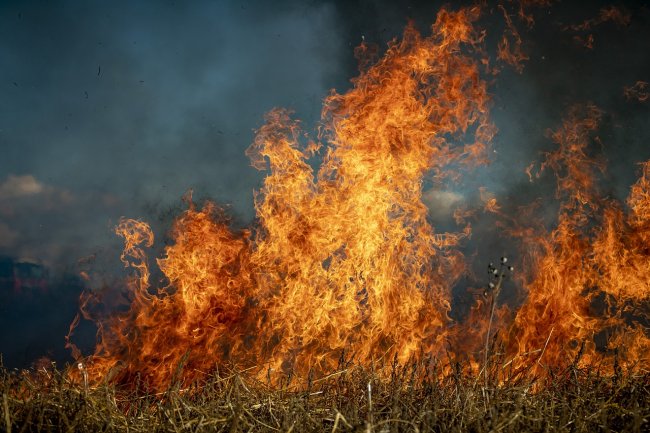 Qual è davvero la situazione a Persano dopo l'incendio